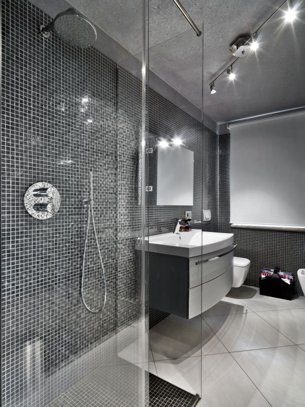 Contemporary Shower Installation